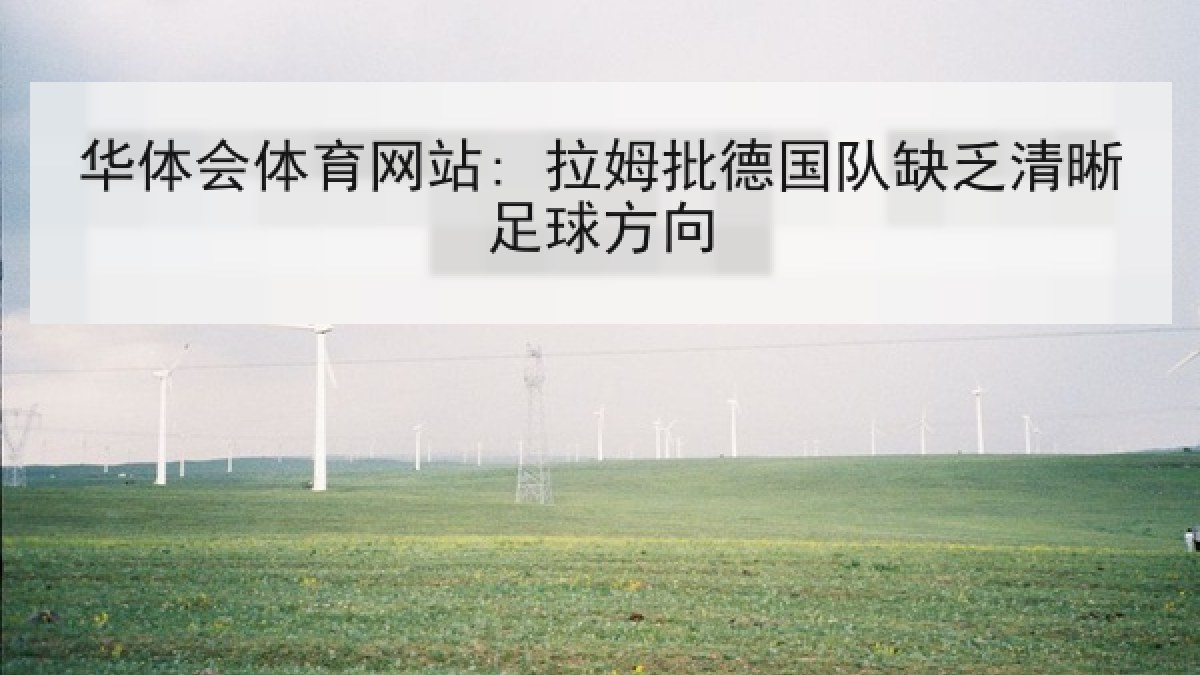 华体会体育网站: 拉姆批德国队缺乏清晰足球方向