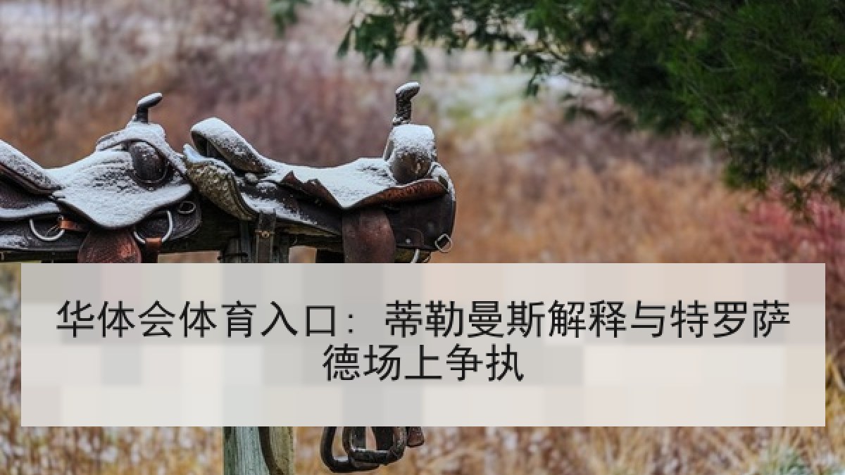 华体会体育入口: 蒂勒曼斯解释与特罗萨德场上争执