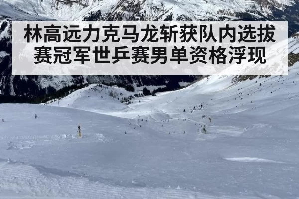 林高远力克马龙斩获队内选拔赛冠军世乒赛男单资格浮现