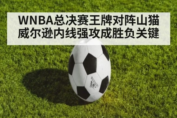 WNBA总决赛王牌对阵山猫 威尔逊内线强攻成胜负关键