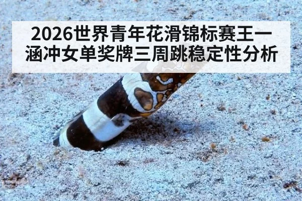 2026世界青年花滑锦标赛王一涵冲女单奖牌三周跳稳定性分析